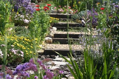 Plett Open Garden Day for charity